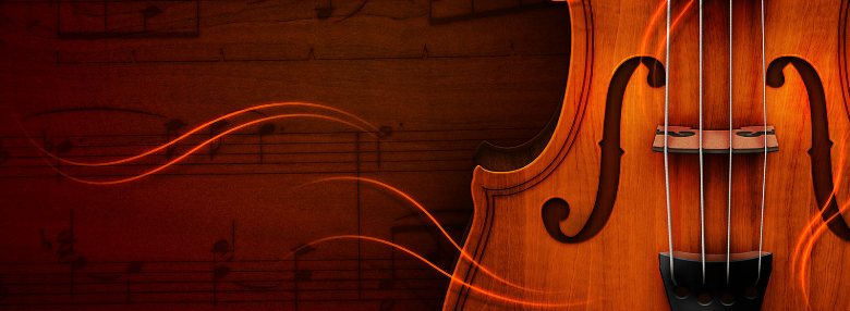 violin2